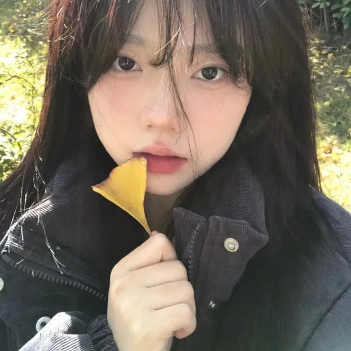 小丑国语